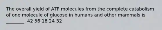 The overall yield of ATP molecules from the complete catabolism of one molecule of glucose in humans and other mammals is ________. 42 56 18 24 32