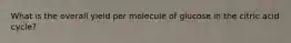 What is the overall yield per molecule of glucose in the citric acid cycle?