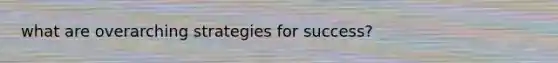 what are overarching strategies for success?
