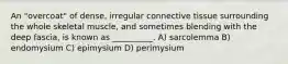 An "overcoat" of dense, irregular connective tissue surrounding the whole skeletal muscle, and sometimes blending with the deep fascia, is known as __________. A) sarcolemma B) endomysium C) epimysium D) perimysium