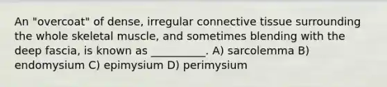 An "overcoat" of dense, irregular connective tissue surrounding the whole skeletal muscle, and sometimes blending with the deep fascia, is known as __________. A) sarcolemma B) endomysium C) epimysium D) perimysium