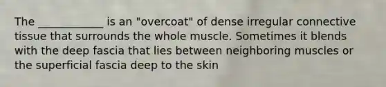 The ____________ is an "overcoat" of dense irregular connective tissue that surrounds the whole muscle. Sometimes it blends with the deep fascia that lies between neighboring muscles or the superficial fascia deep to the skin