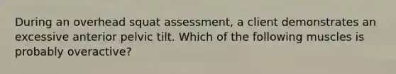 During an overhead squat assessment, a client demonstrates an excessive anterior pelvic tilt. Which of the following muscles is probably overactive?