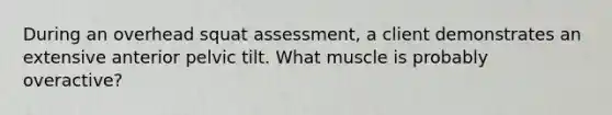 During an overhead squat assessment, a client demonstrates an extensive anterior pelvic tilt. What muscle is probably overactive?