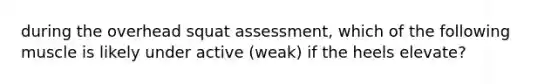 during the overhead squat assessment, which of the following muscle is likely under active (weak) if the heels elevate?