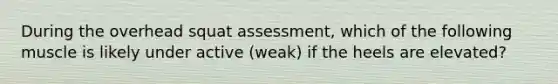 During the overhead squat assessment, which of the following muscle is likely under active (weak) if the heels are elevated?