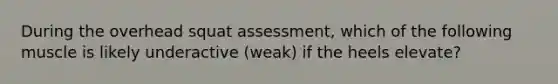 During the overhead squat assessment, which of the following muscle is likely underactive (weak) if the heels elevate?