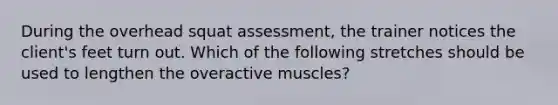 During the overhead squat assessment, the trainer notices the client's feet turn out. Which of the following stretches should be used to lengthen the overactive muscles?