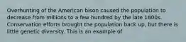 Overhunting of the American bison caused the population to decrease from millions to a few hundred by the late 1800s. Conservation efforts brought the population back up, but there is little genetic diversity. This is an example of