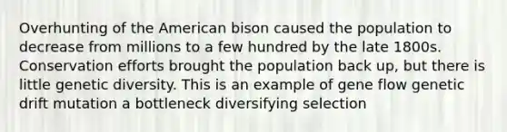 Overhunting of the American bison caused the population to decrease from millions to a few hundred by the late 1800s. Conservation efforts brought the population back up, but there is little genetic diversity. This is an example of gene flow genetic drift mutation a bottleneck diversifying selection