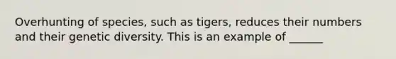 Overhunting of species, such as tigers, reduces their numbers and their genetic diversity. This is an example of ______