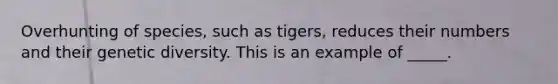 Overhunting of species, such as tigers, reduces their numbers and their genetic diversity. This is an example of _____.