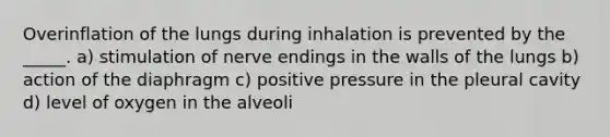 Overinflation of the lungs during inhalation is prevented by the _____.​ a) ​stimulation of nerve endings in the walls of the lungs b) ​action of the diaphragm c) ​positive pressure in the pleural cavity d) ​level of oxygen in the alveoli