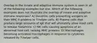 Overlap in the innate and adaptive immune system is seen in all of the following examples but one. Which of the following examples does not illustrate the overlap of innate and adaptive immune responses? A) Dendritic cells presenting antigens on their MHC II proteins to T-helper cells. B) Plasma cells that produce large amounts of IgE that will ultimately allow mast cells to release histamine. C) NK cells causing apoptosis of an abnormal host cell, lacking MHC proteins. D) Macrophages becoming activated macrophages in response to cytokines released by T-helper cells.