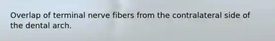 Overlap of terminal nerve fibers from the contralateral side of the dental arch.