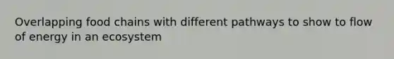 Overlapping food chains with different pathways to show to flow of energy in an ecosystem