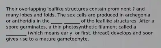 Their overlapping leaflike structures contain prominent ? and many lobes and folds. The sex cells are produced in archegonia or antheridia in the _____ _______ of the leaflike structures. After a spore germinates, a thin photosynthetic filament called a _________ (which means early, or first, thread) develops and soon gives rise to a mature gametophyte.