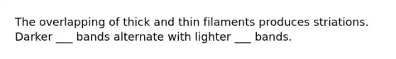 The overlapping of thick and thin filaments produces striations. Darker ___ bands alternate with lighter ___ bands.