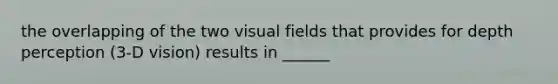 the overlapping of the two visual fields that provides for depth perception (3-D vision) results in ______