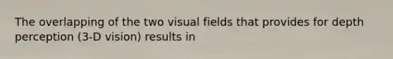 The overlapping of the two visual fields that provides for depth perception (3-D vision) results in