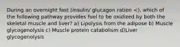 During an overnight fast (insulin/ glucagon ration <), which of the following pathway provides fuel to be oxidized by both the skeletal muscle and liver? a) Lipolysis from the adipose b) Muscle glycogenolysis c) Muscle protein catabolism d)Liver glycogenolysis