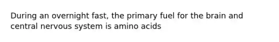 During an overnight fast, the primary fuel for the brain and central nervous system is amino acids