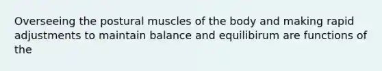 Overseeing the postural muscles of the body and making rapid adjustments to maintain balance and equilibirum are functions of the