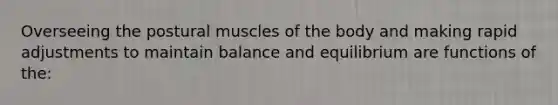 Overseeing the postural muscles of the body and making rapid adjustments to maintain balance and equilibrium are functions of the: