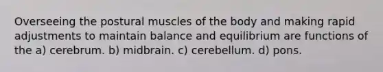 Overseeing the postural muscles of the body and making rapid adjustments to maintain balance and equilibrium are functions of the a) cerebrum. b) midbrain. c) cerebellum. d) pons.