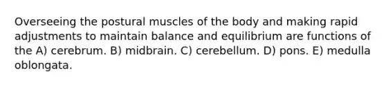 Overseeing the postural muscles of the body and making rapid adjustments to maintain balance and equilibrium are functions of the A) cerebrum. B) midbrain. C) cerebellum. D) pons. E) medulla oblongata.