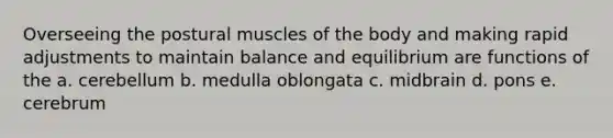 Overseeing the postural muscles of the body and making rapid adjustments to maintain balance and equilibrium are functions of the a. cerebellum b. medulla oblongata c. midbrain d. pons e. cerebrum