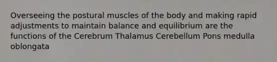 Overseeing the postural muscles of the body and making rapid adjustments to maintain balance and equilibrium are the functions of the Cerebrum Thalamus Cerebellum Pons medulla oblongata