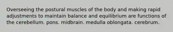 Overseeing the postural muscles of the body and making rapid adjustments to maintain balance and equilibrium are functions of the cerebellum. pons. midbrain. medulla oblongata. cerebrum.