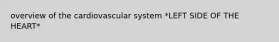 overview of the cardiovascular system *LEFT SIDE OF THE HEART*