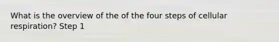 What is the overview of the of the four steps of cellular respiration? Step 1