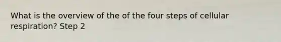 What is the overview of the of the four steps of cellular respiration? Step 2