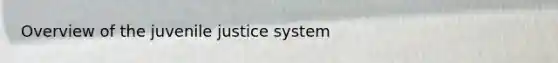 Overview of the juvenile justice system