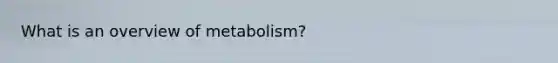 What is an overview of metabolism?