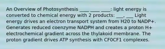 An Overview of Photosynthesis ____ ____ ____: light energy is converted to chemical energy with 2 products: ___, ___ Light energy drives an electron transport system from H20 to NADP+. Generates reduced coenzyme NADPH and creates a proton H+ electrochemical gradient across the thylakoid membrane. The proton gradient drives ATP synthesis with CF0CF1 complexes.