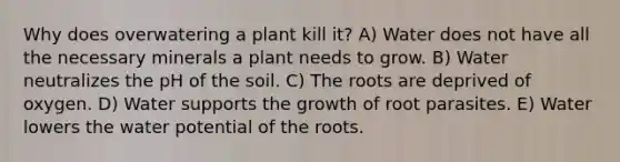 Why does overwatering a plant kill it? A) Water does not have all the necessary minerals a plant needs to grow. B) Water neutralizes the pH of the soil. C) The roots are deprived of oxygen. D) Water supports the growth of root parasites. E) Water lowers the water potential of the roots.