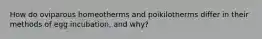 How do oviparous homeotherms and poikilotherms differ in their methods of egg incubation, and why?