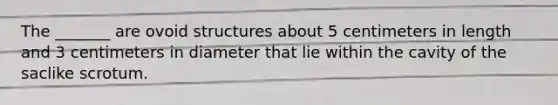 The _______ are ovoid structures about 5 centimeters in length and 3 centimeters in diameter that lie within the cavity of the saclike scrotum.