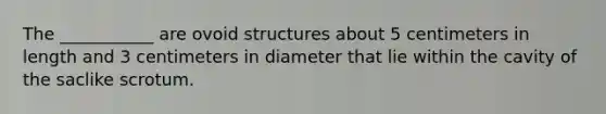 The ___________ are ovoid structures about 5 centimeters in length and 3 centimeters in diameter that lie within the cavity of the saclike scrotum.