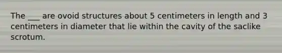 The ___ are ovoid structures about 5 centimeters in length and 3 centimeters in diameter that lie within the cavity of the saclike scrotum.