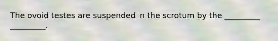 The ovoid testes are suspended in the scrotum by the _________ _________.