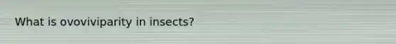 What is ovoviviparity in insects?