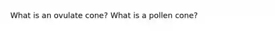 What is an ovulate cone? What is a pollen cone?