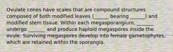 Ovulate cones have scales that are compound structures composed of both modified leaves (______ bearing ______) and modified stem tissue. Within each megasporangium, _______ undergo _______ and produce haploid megaspores inside the ovule. Surviving megaspores develop into female gametophytes, which are retained within the sporangia.