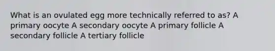 What is an ovulated egg more technically referred to as? A primary oocyte A secondary oocyte A primary follicle A secondary follicle A tertiary follicle