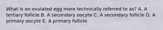 What is an ovulated egg more technically referred to as? A. A tertiary follicle B. A secondary oocyte C. A secondary follicle D. A primary oocyte E. A primary follicle